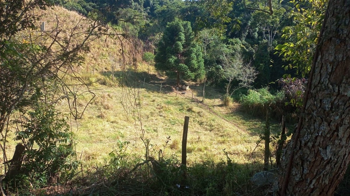 Fazenda à venda, 193600m² - Foto 12