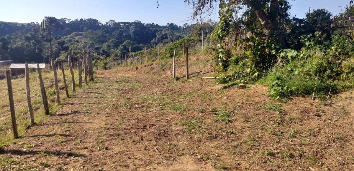 Fazenda à venda, 193600m² - Foto 6