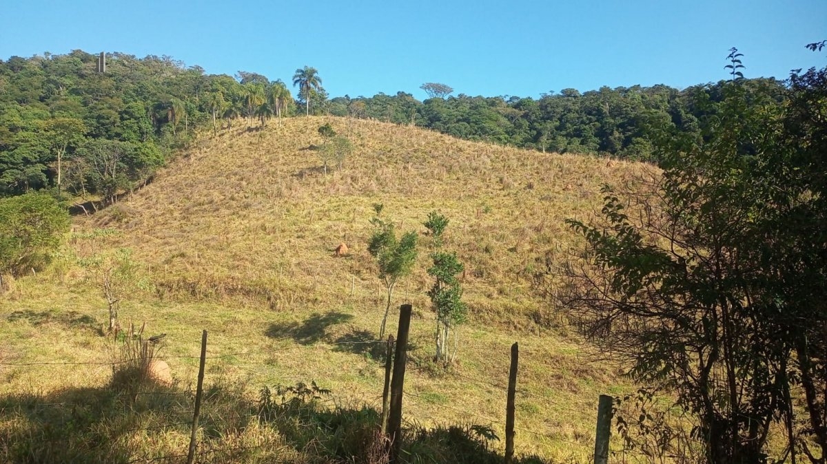 Fazenda à venda, 193600m² - Foto 15