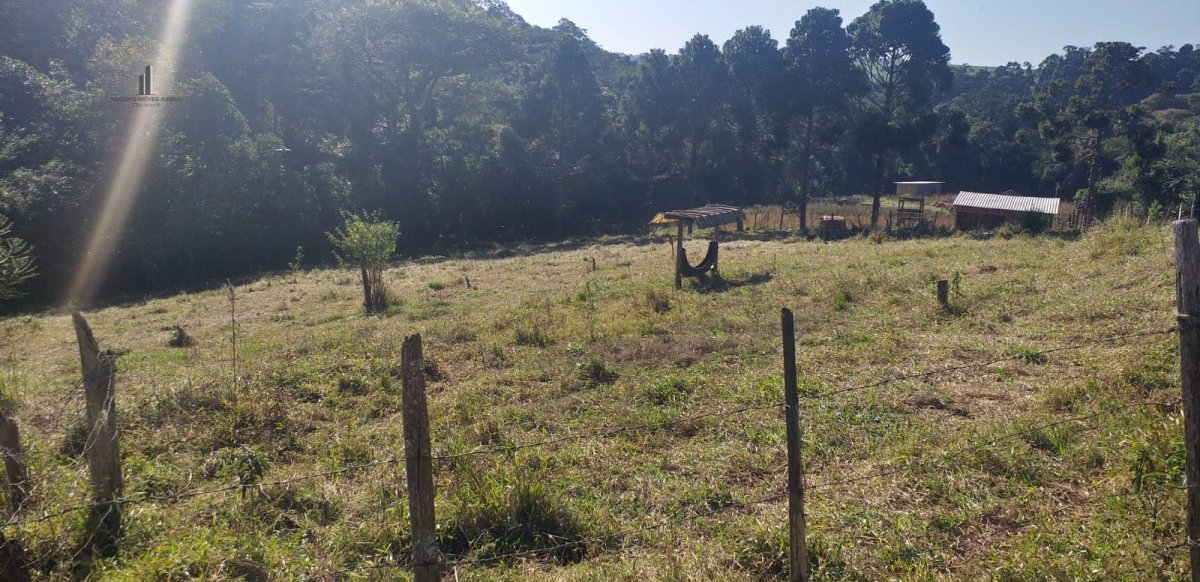 Fazenda à venda, 193600m² - Foto 3