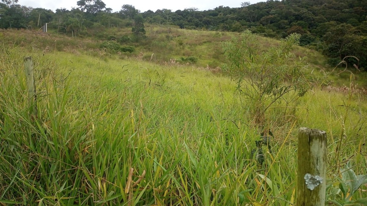 Fazenda à venda, 193600m² - Foto 13