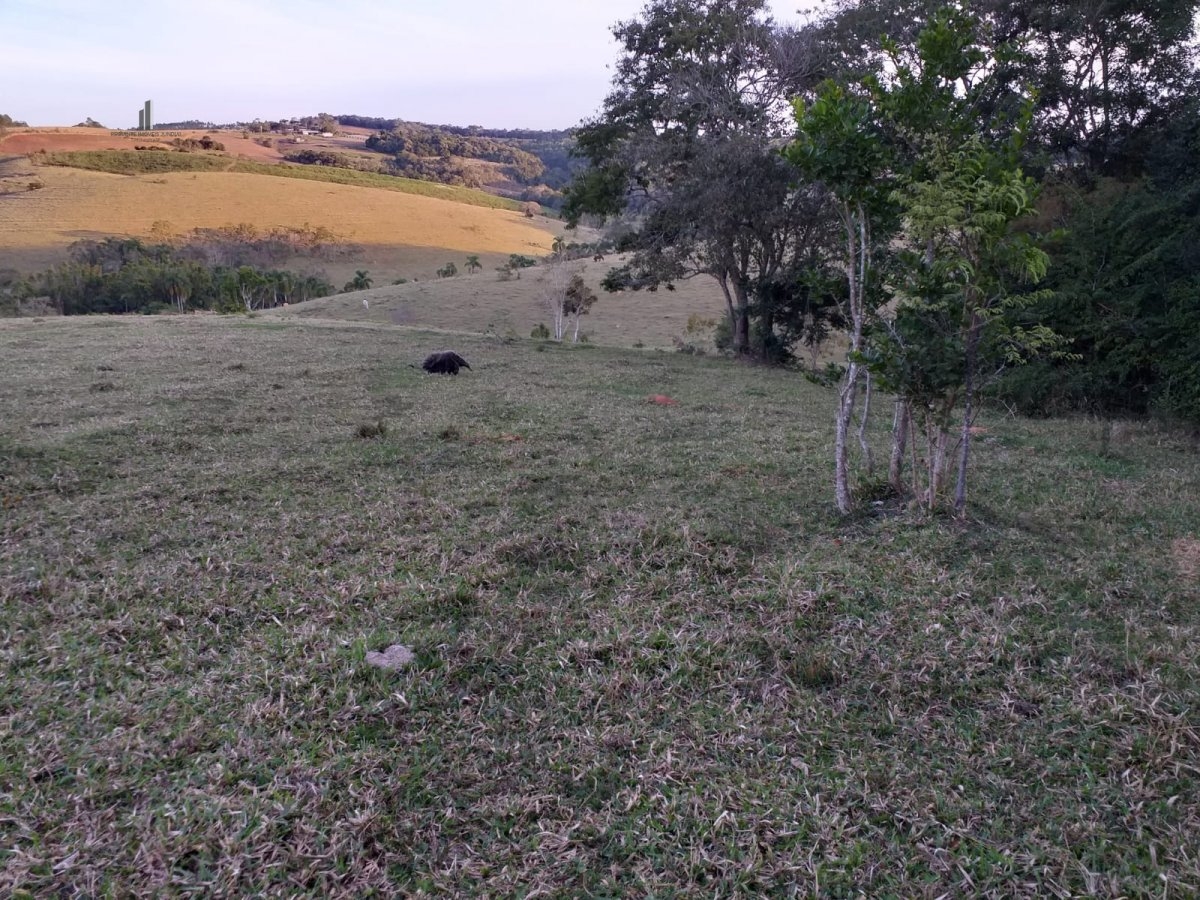 Fazenda à venda, 193600m² - Foto 4