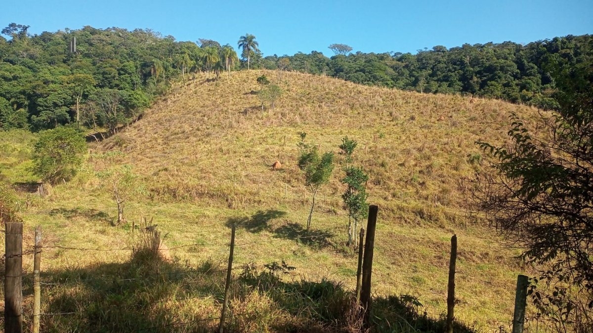 Fazenda à venda, 193600m² - Foto 11