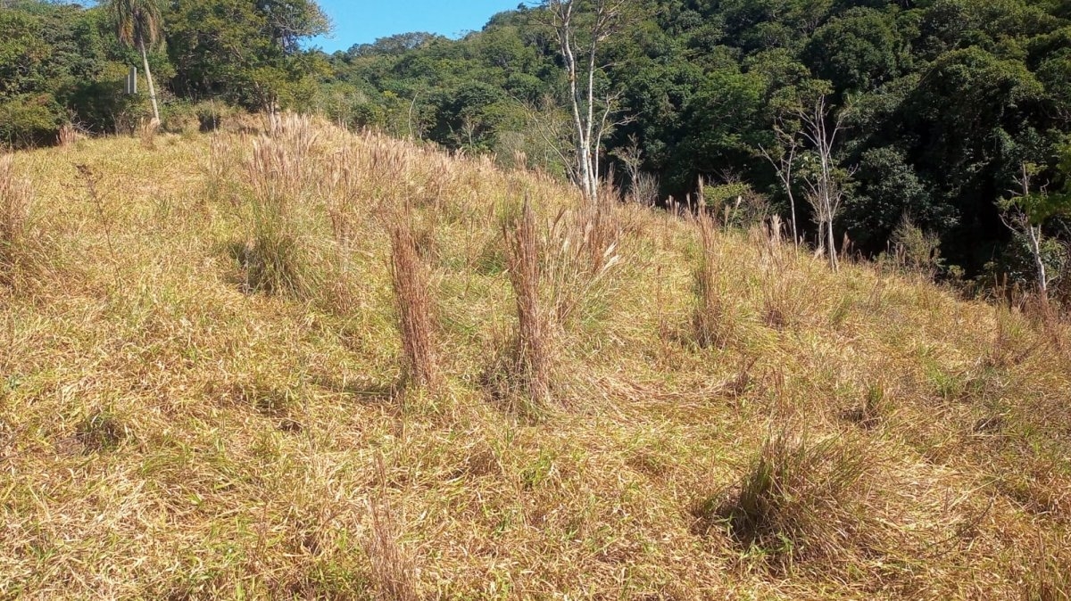 Fazenda à venda, 193600m² - Foto 17