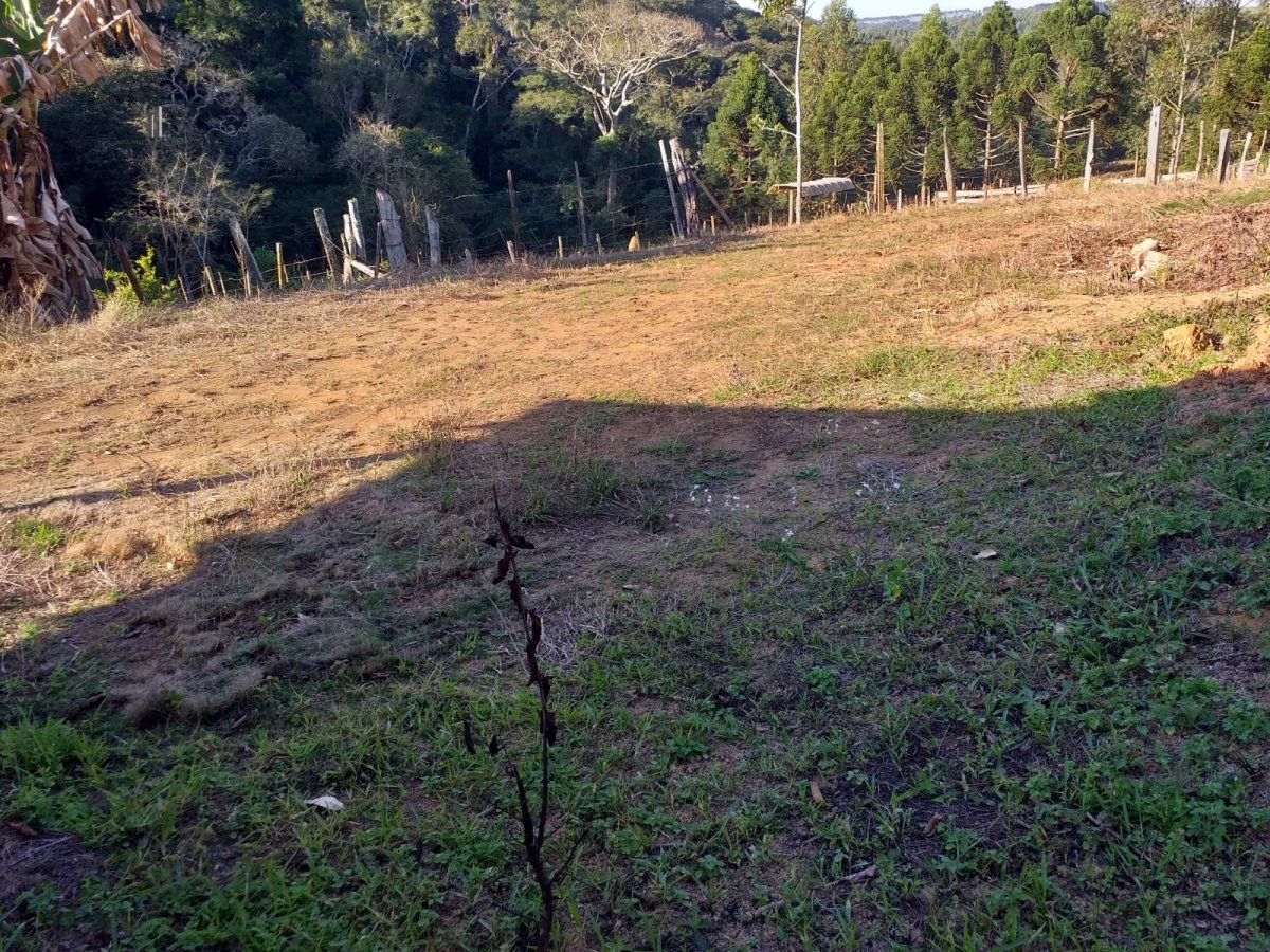 Fazenda à venda, 193600m² - Foto 9