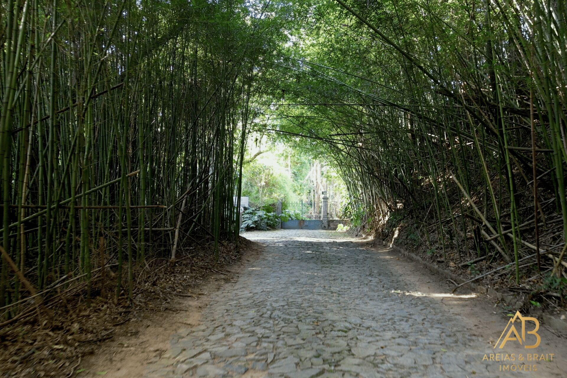 Terreno, 2 hectares - Foto 13