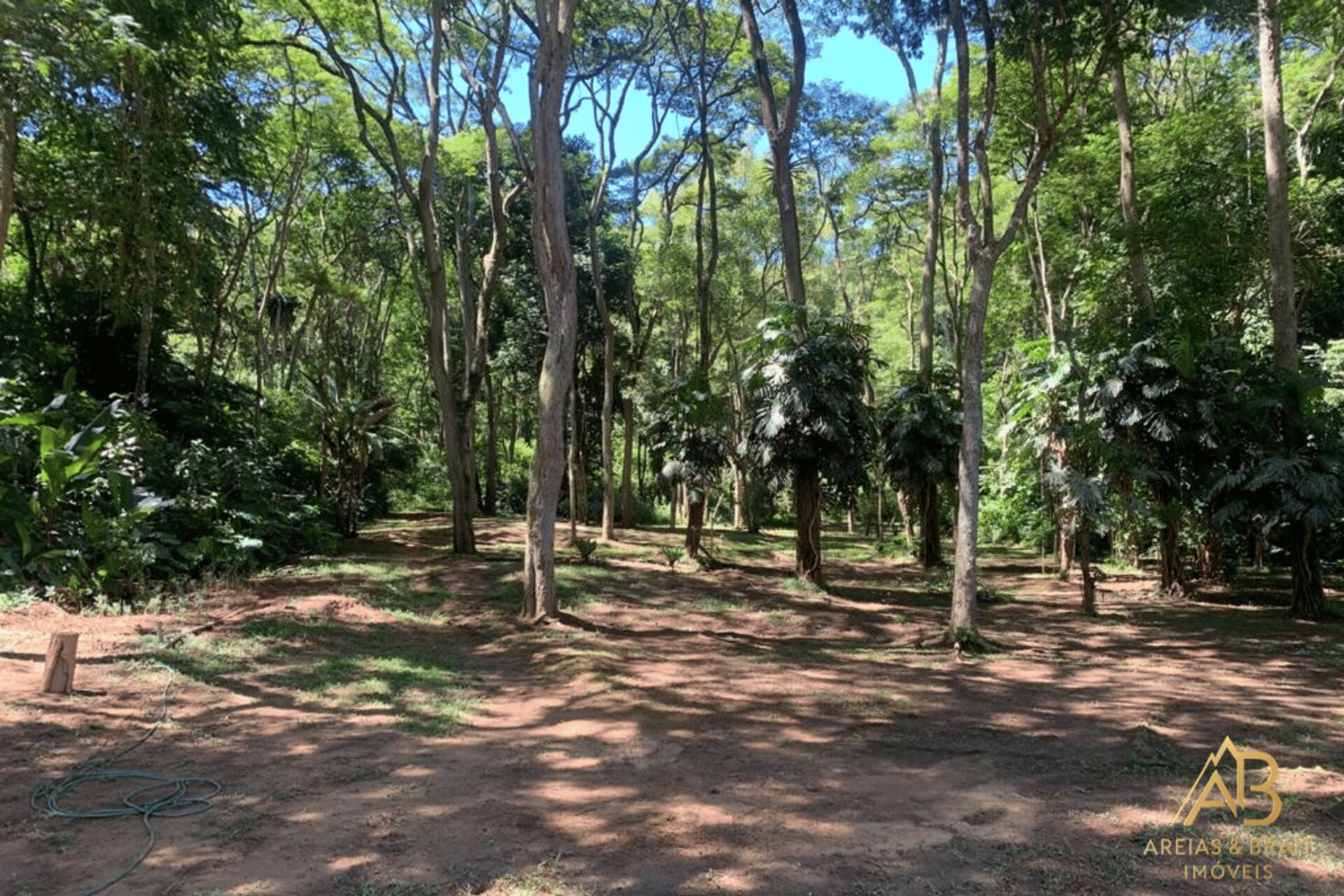 Terreno, 2 hectares - Foto 17