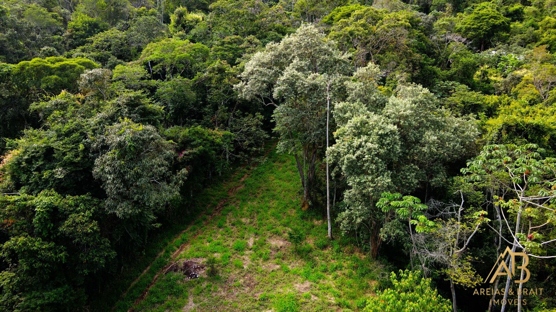 Terreno, 18 hectares - Foto 11