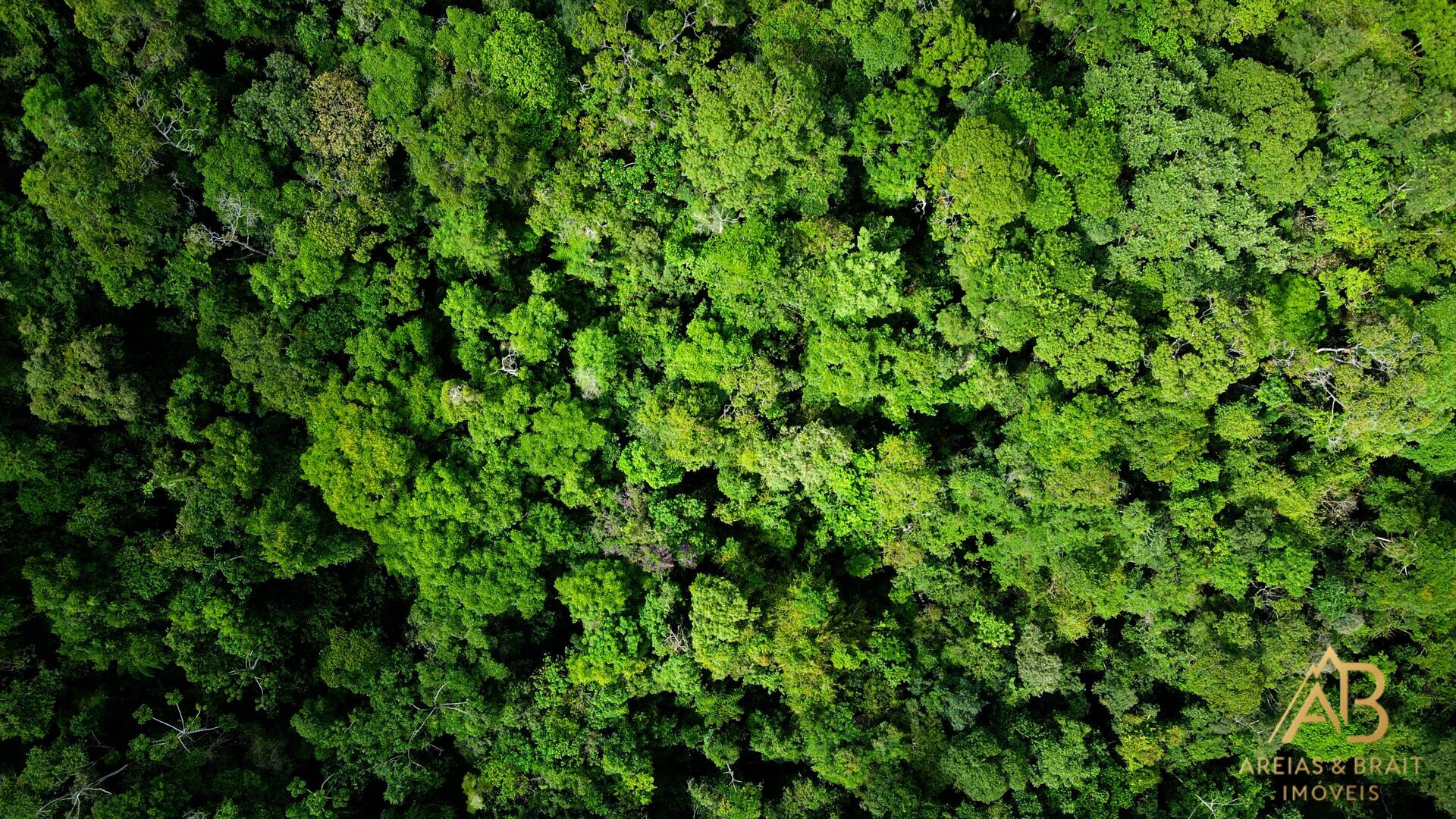 Terreno, 18 hectares - Foto 13