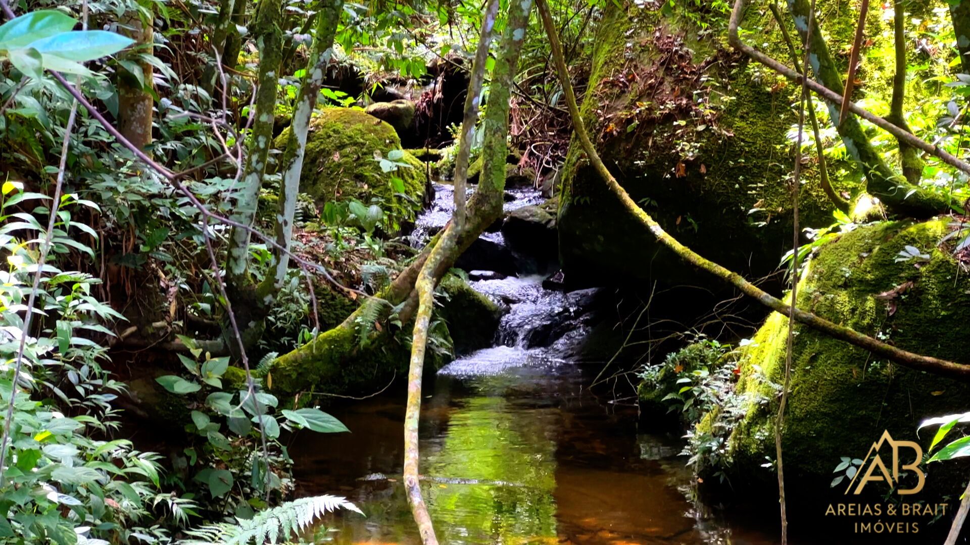 Terreno, 18 hectares - Foto 8