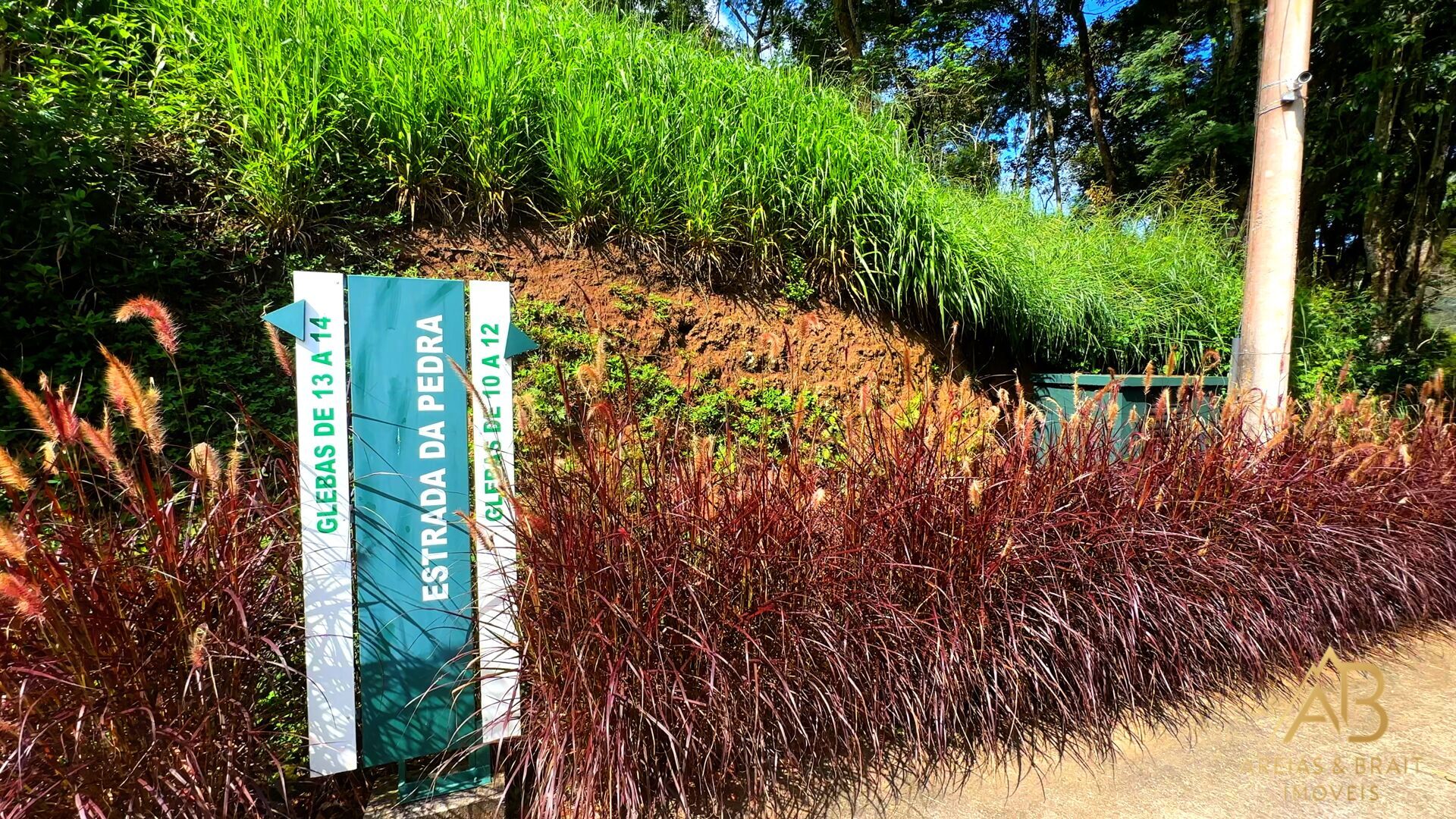 Terreno, 18 hectares - Foto 3