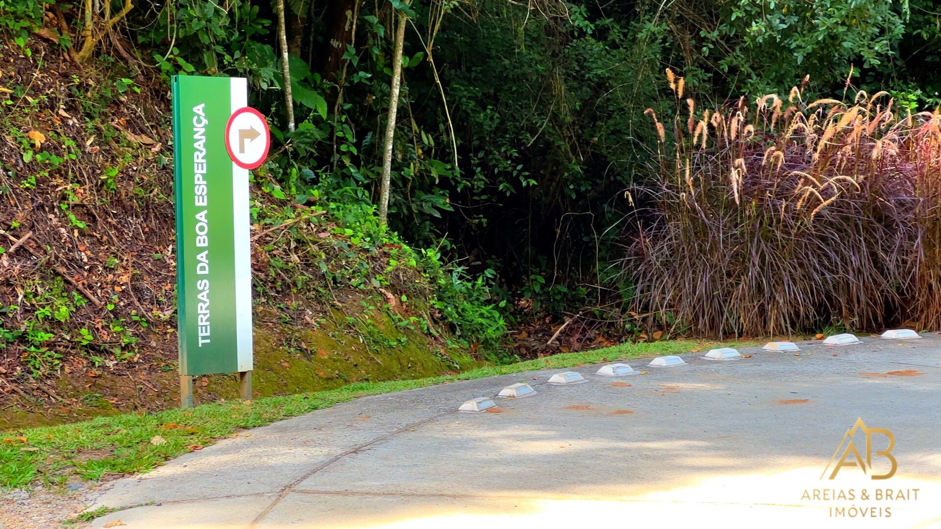 Terreno, 18 hectares - Foto 5