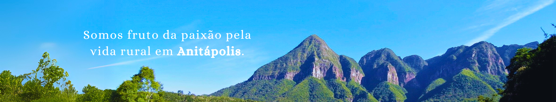 Thiago Guimarães Heinzen