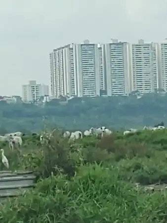 Fazenda à venda em São José dos Campos/SP