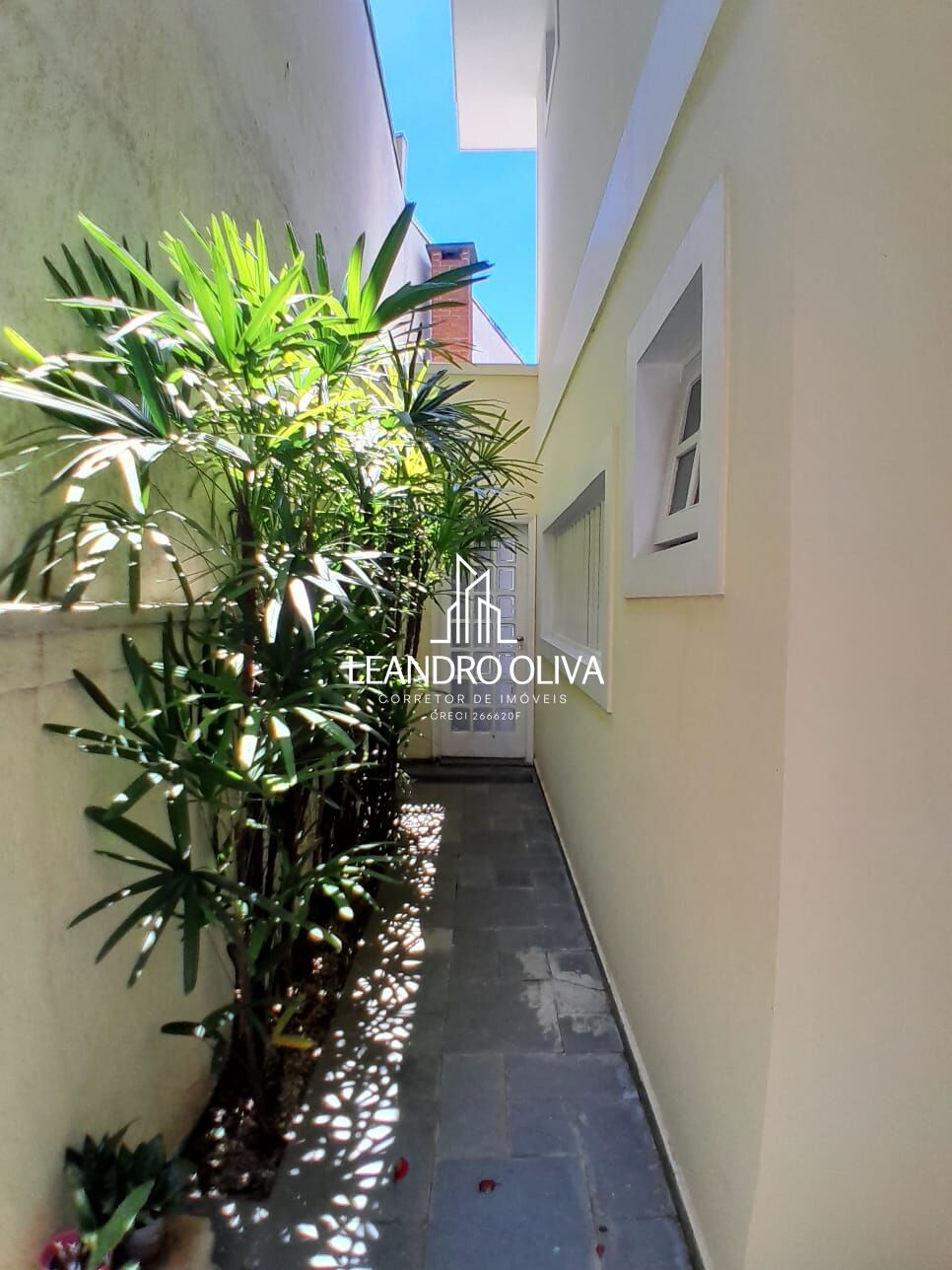 Casa, 3 quartos, 240 m² - Foto 41