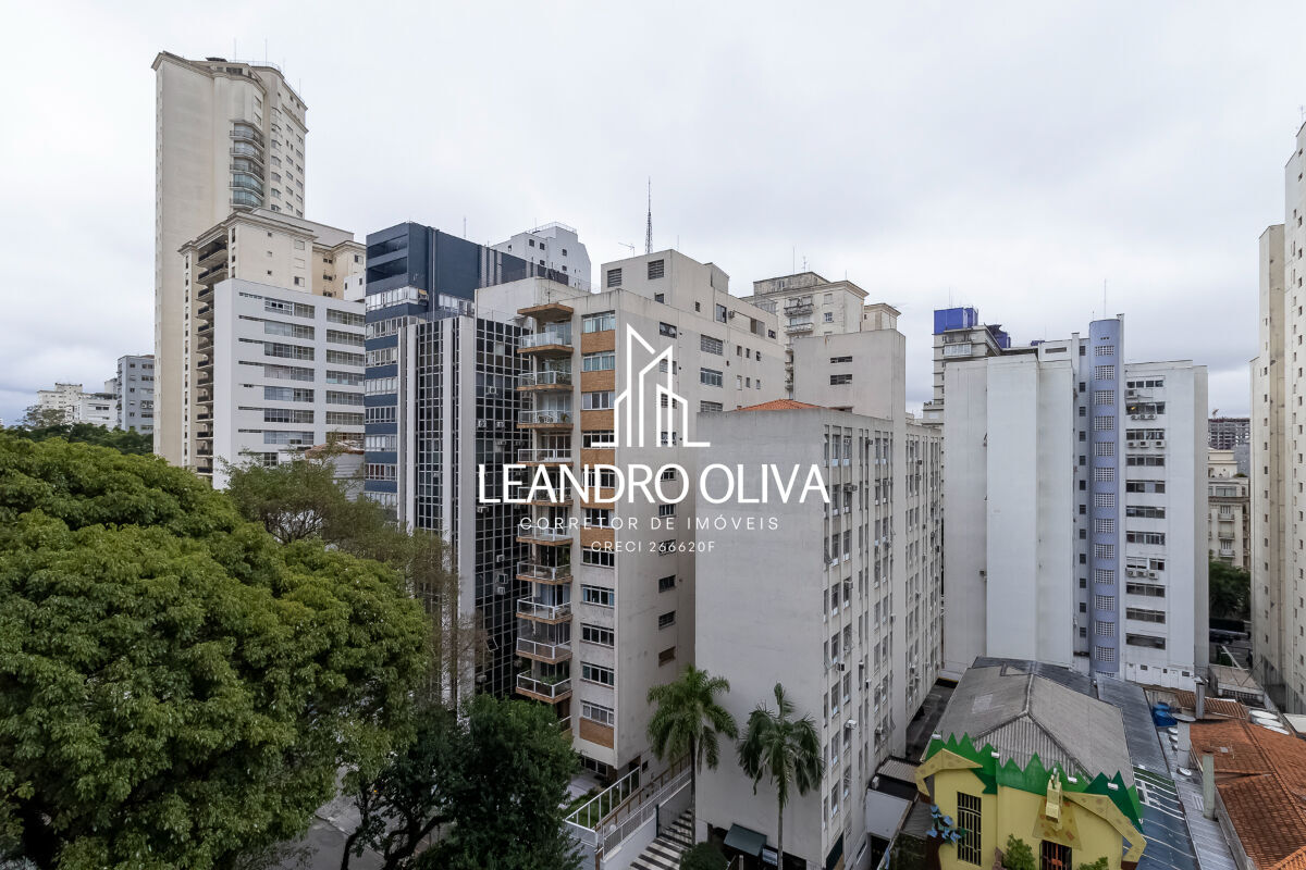 Apartamento, 3 quartos, 230 m² - Foto 22