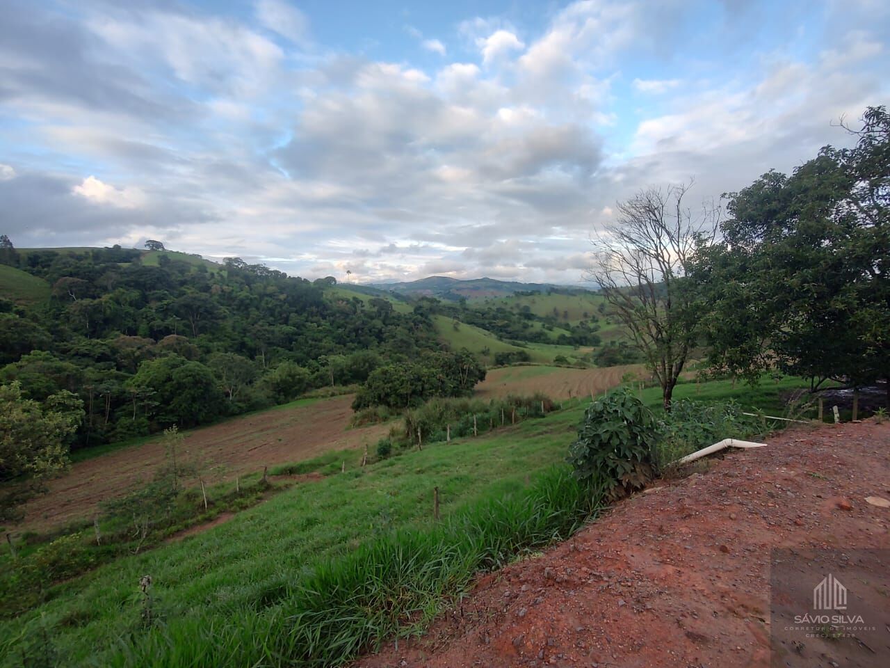 Fazenda à venda com 3 quartos, 193600m² - Foto 30