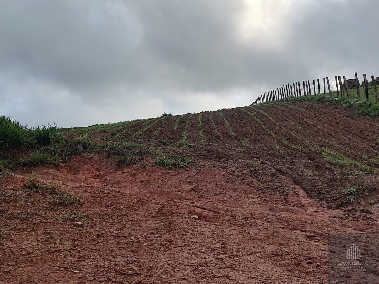 Fazenda à venda com 3 quartos, 193600m² - Foto 19