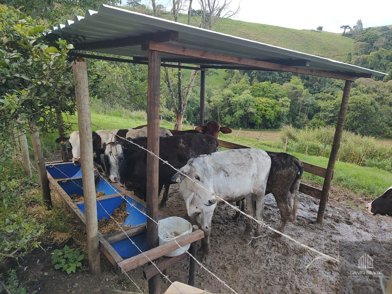 Fazenda à venda com 3 quartos, 193600m² - Foto 26