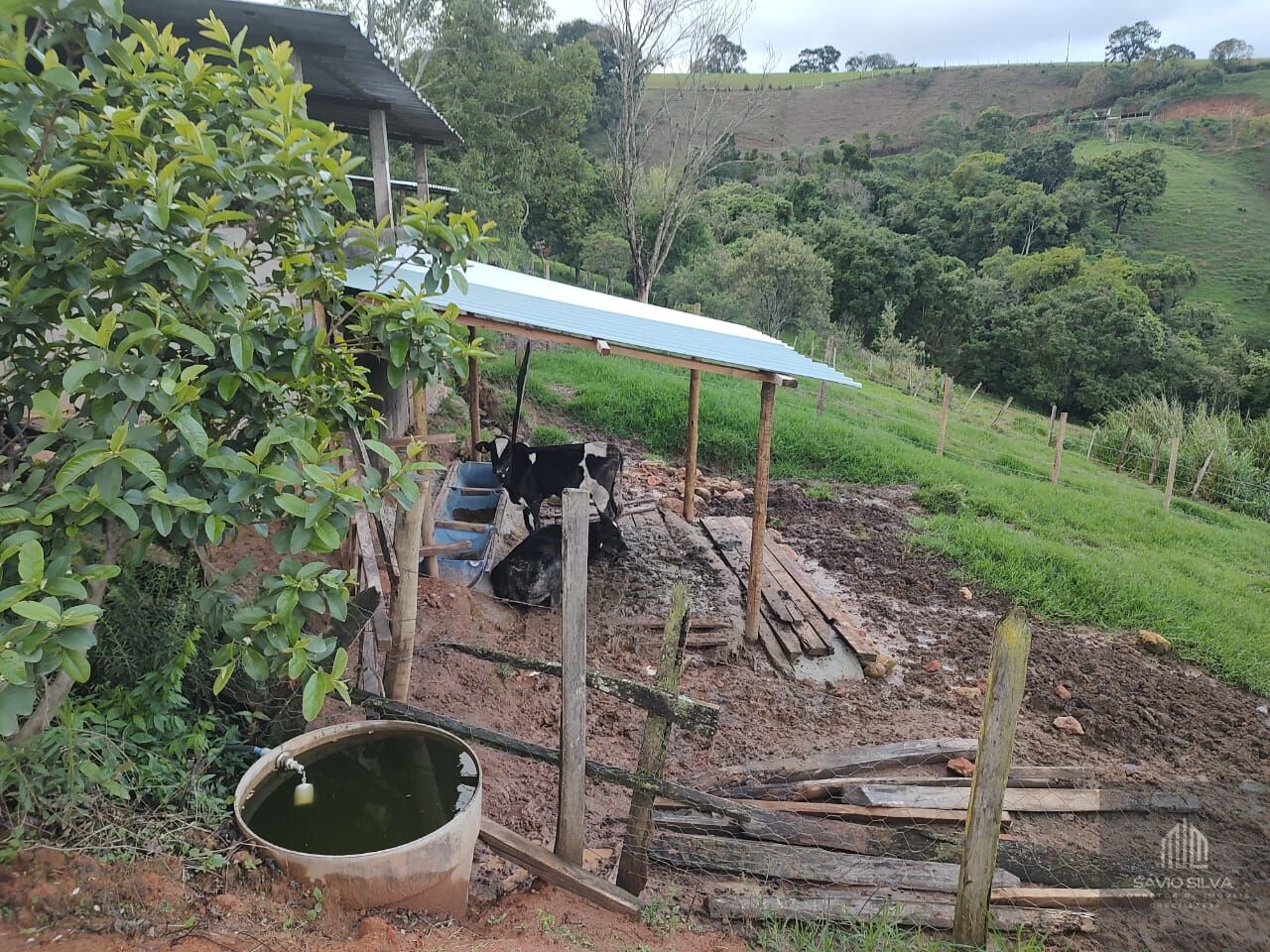 Fazenda à venda com 3 quartos, 193600m² - Foto 8