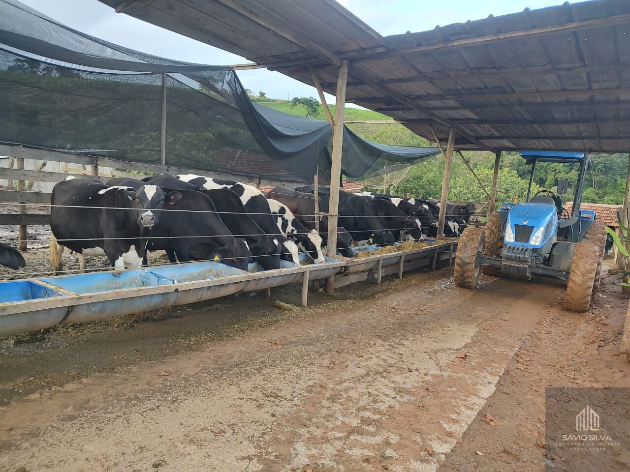 Fazenda à venda com 3 quartos, 193600m² - Foto 4