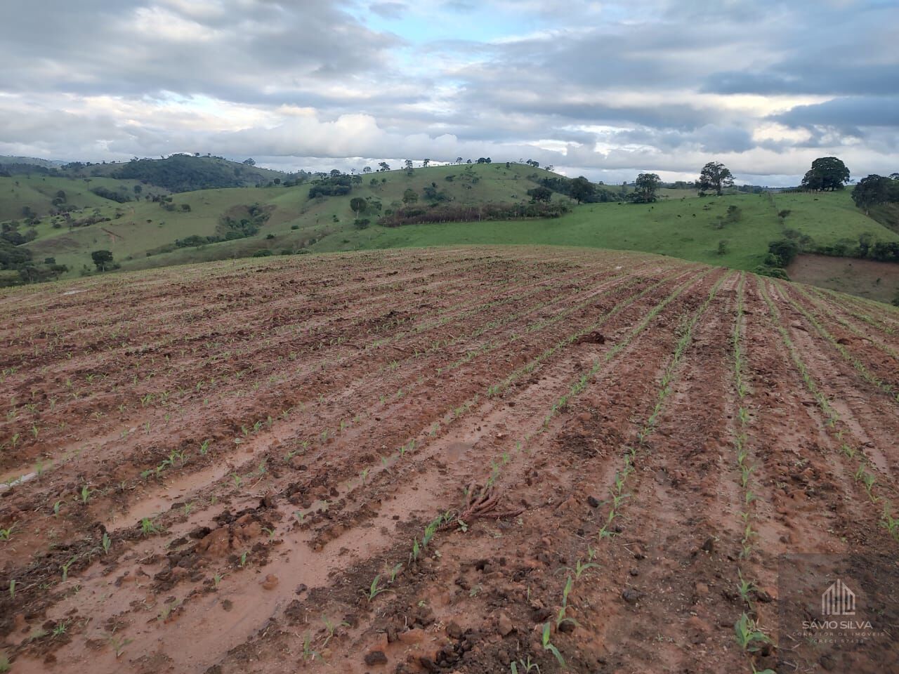 Fazenda à venda com 3 quartos, 193600m² - Foto 11