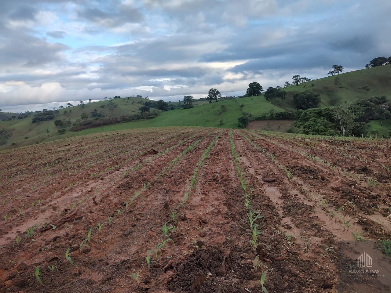 Fazenda à venda com 3 quartos, 193600m² - Foto 17