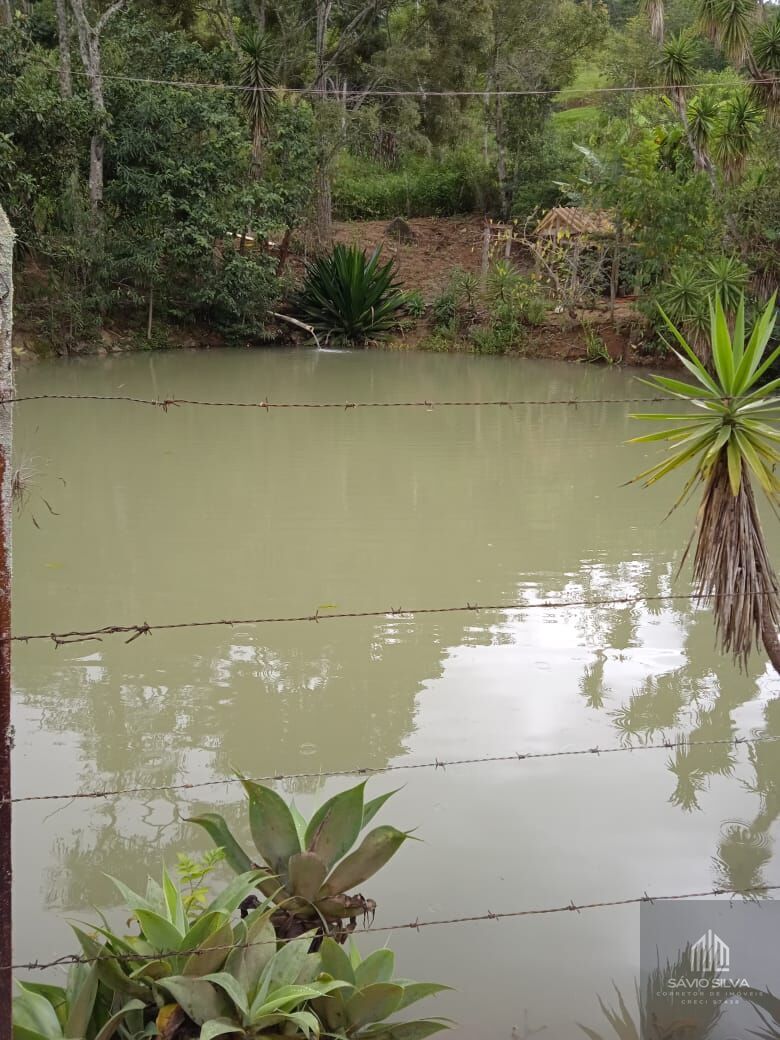 Fazenda à venda com 2 quartos, 1500m² - Foto 4