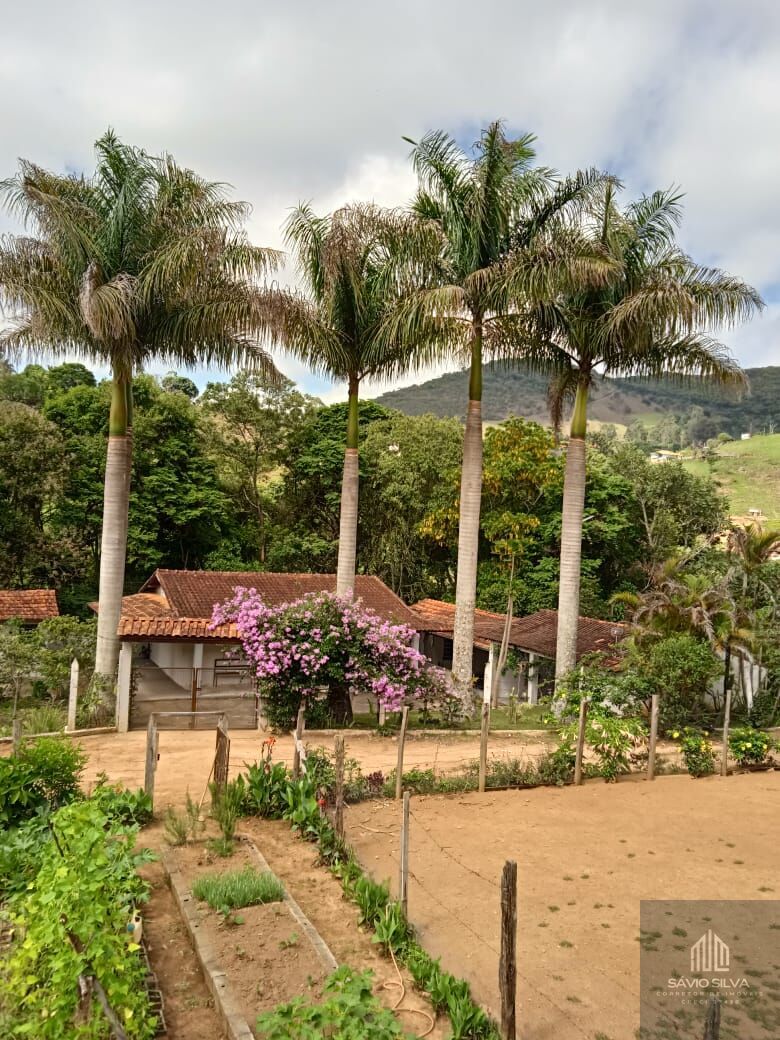 Fazenda à venda com 2 quartos, 1500m² - Foto 1