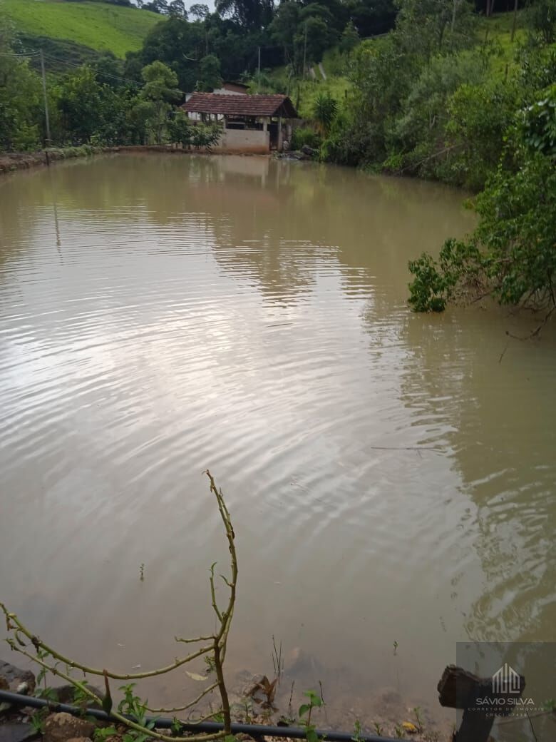 Fazenda à venda com 2 quartos, 1500m² - Foto 3