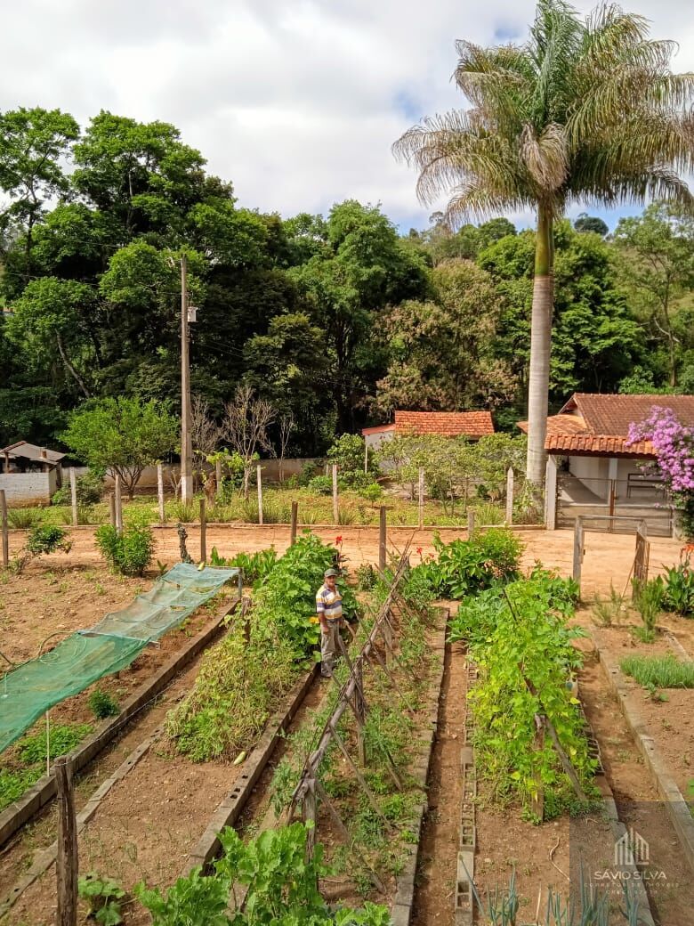 Fazenda à venda com 2 quartos, 1500m² - Foto 2