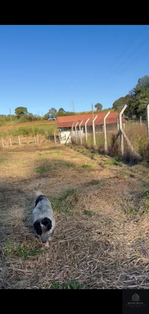 Fazenda à venda, 800m² - Foto 1