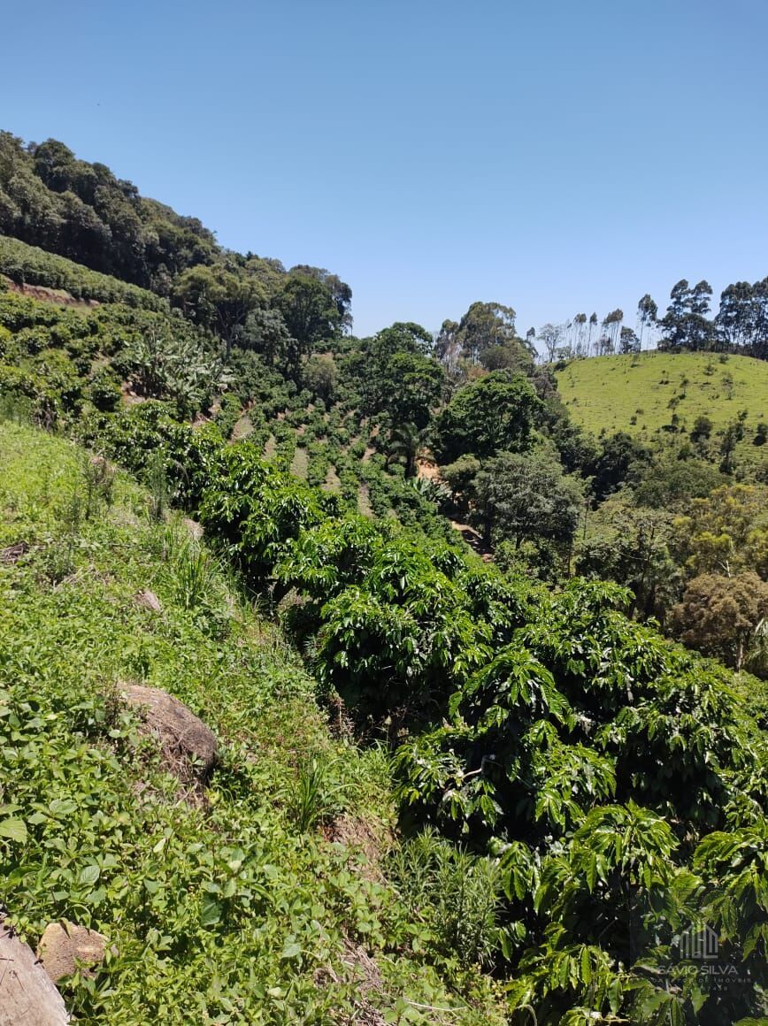 Fazenda à venda com 3 quartos, 532400m² - Foto 14