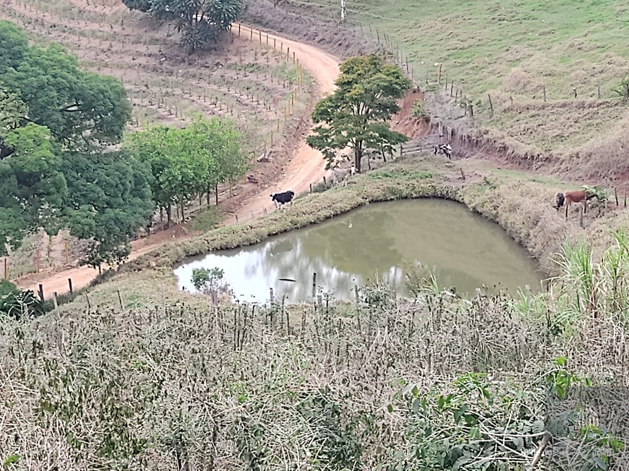 Fazenda à venda com 3 quartos, 532400m² - Foto 15