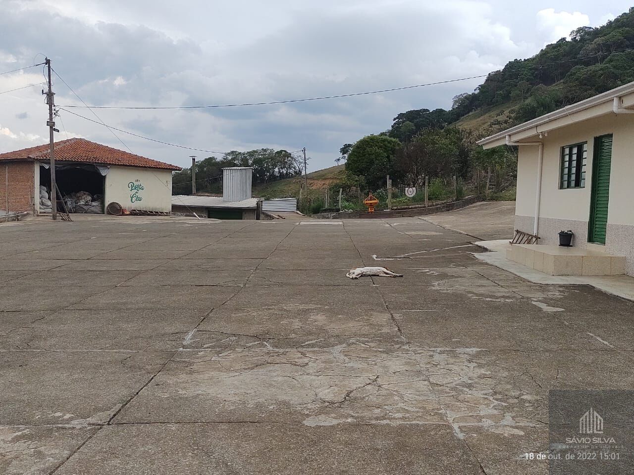 Fazenda à venda com 3 quartos, 532400m² - Foto 10