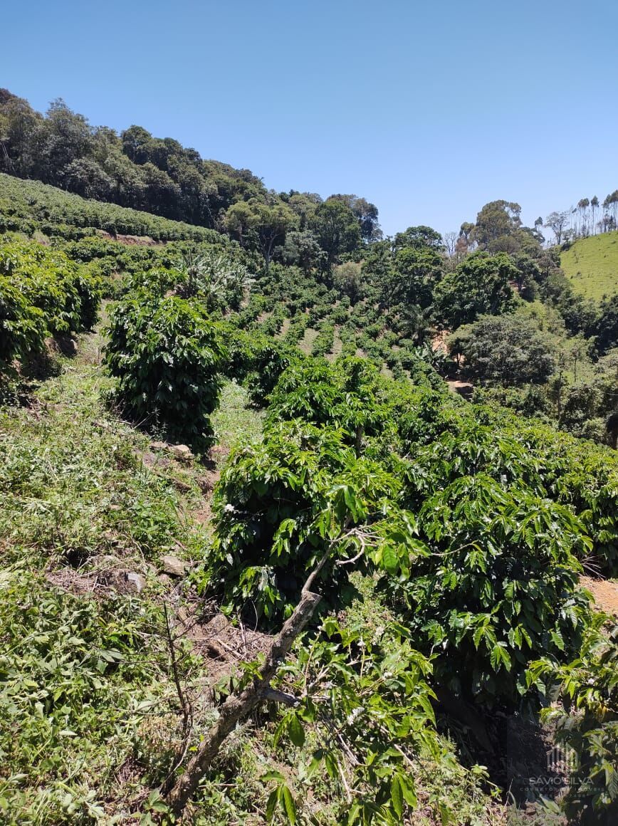 Fazenda à venda com 3 quartos, 532400m² - Foto 16