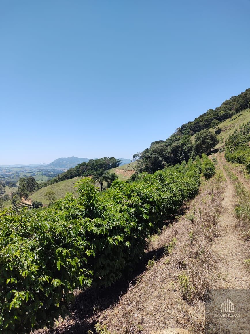 Fazenda à venda com 3 quartos, 532400m² - Foto 7