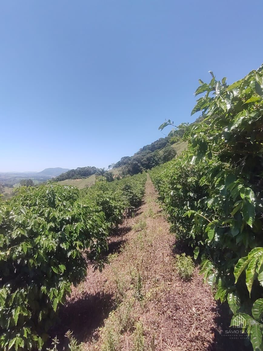 Fazenda à venda com 3 quartos, 532400m² - Foto 17