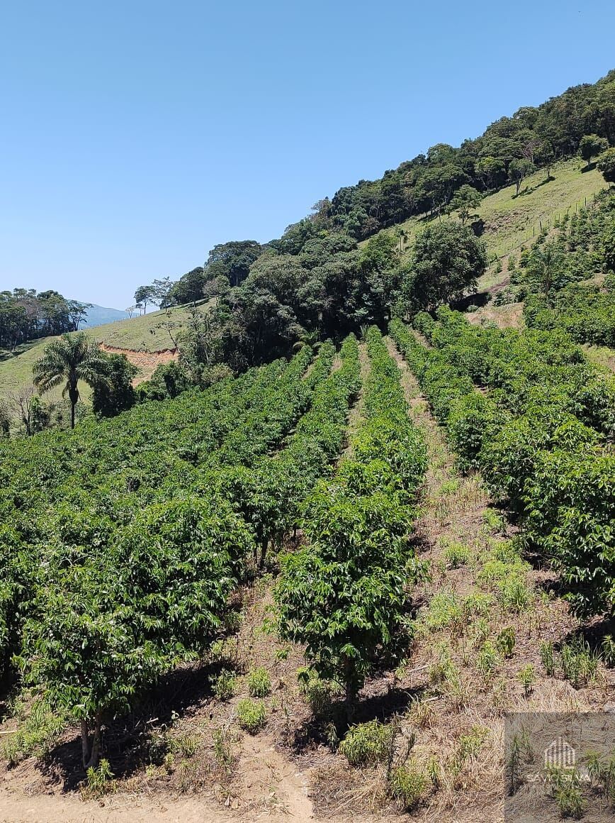 Fazenda à venda com 3 quartos, 532400m² - Foto 25