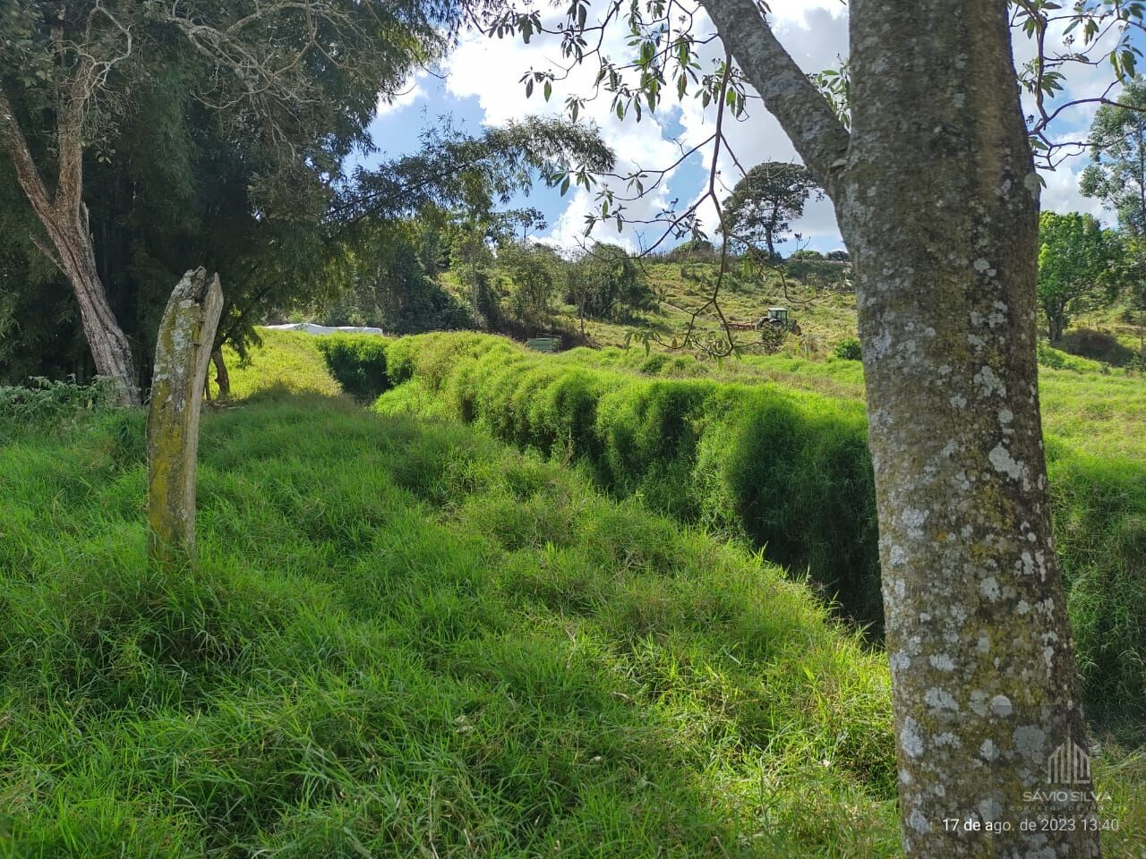 Fazenda à venda com 3 quartos, 677600m² - Foto 8