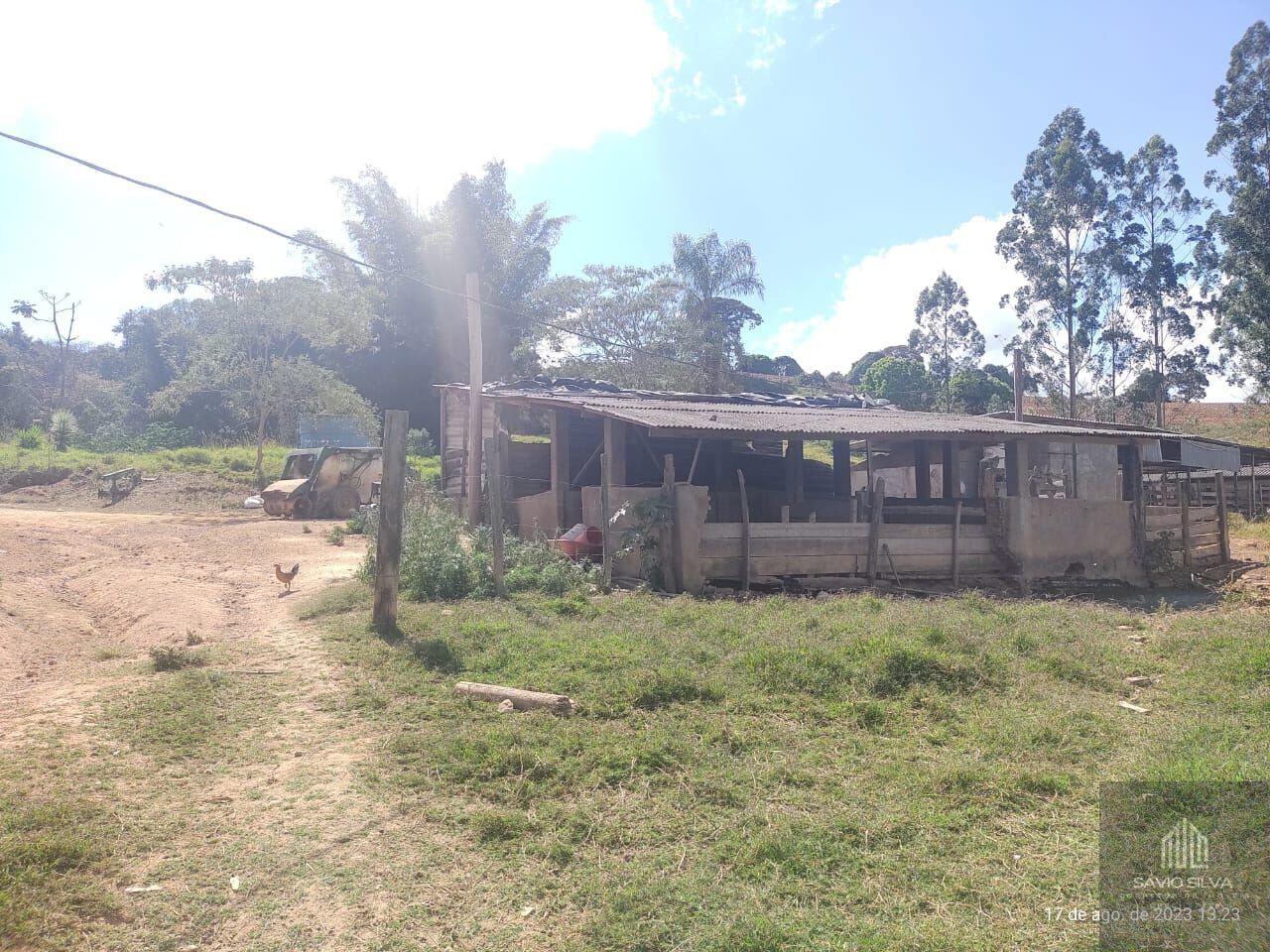 Fazenda à venda com 3 quartos, 677600m² - Foto 9