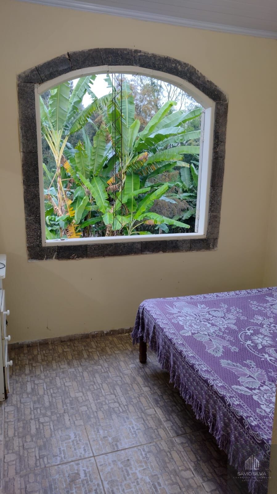 Fazenda à venda com 2 quartos, 1200m² - Foto 12