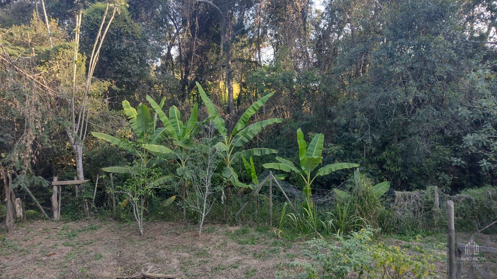 Fazenda à venda com 2 quartos, 1200m² - Foto 23