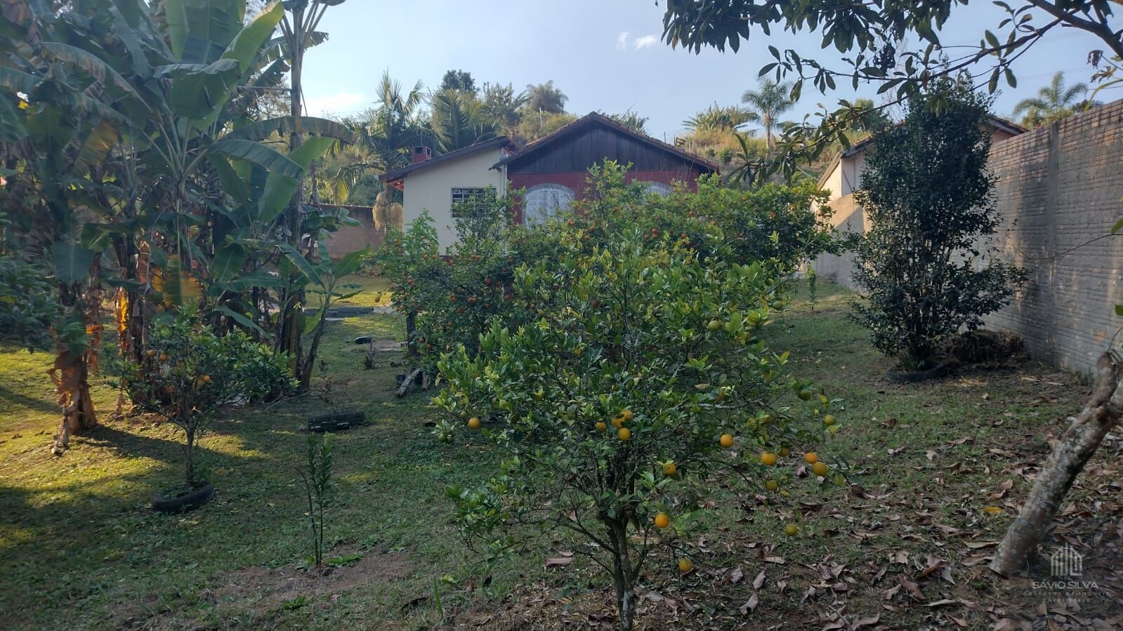 Fazenda à venda com 2 quartos, 1200m² - Foto 24