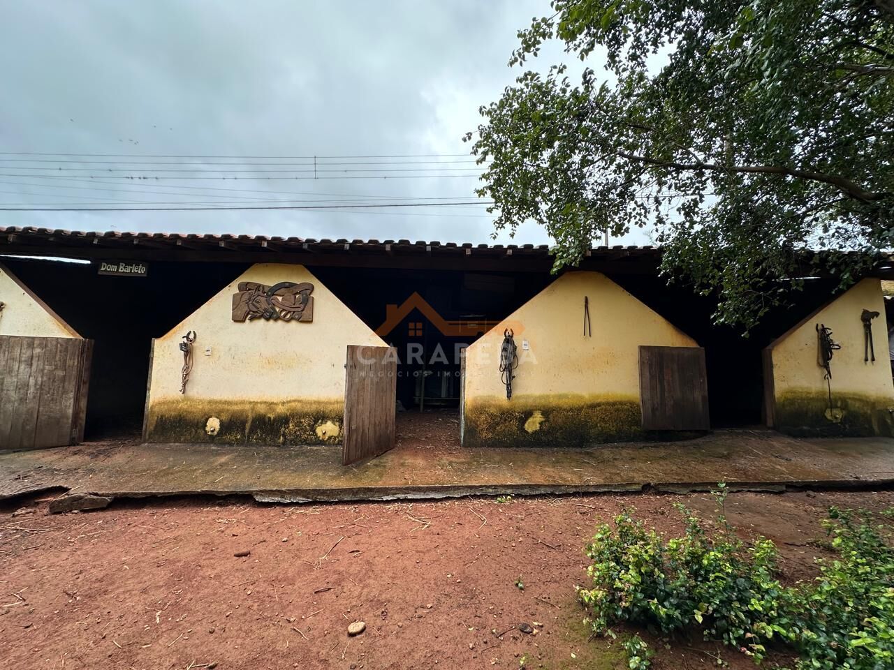 Chácara, 3 quartos, 1 hectares - Foto 14