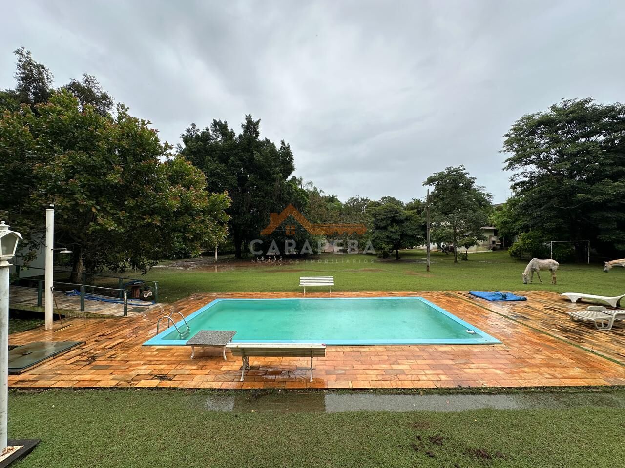 Chácara, 3 quartos, 1 hectares - Foto 10