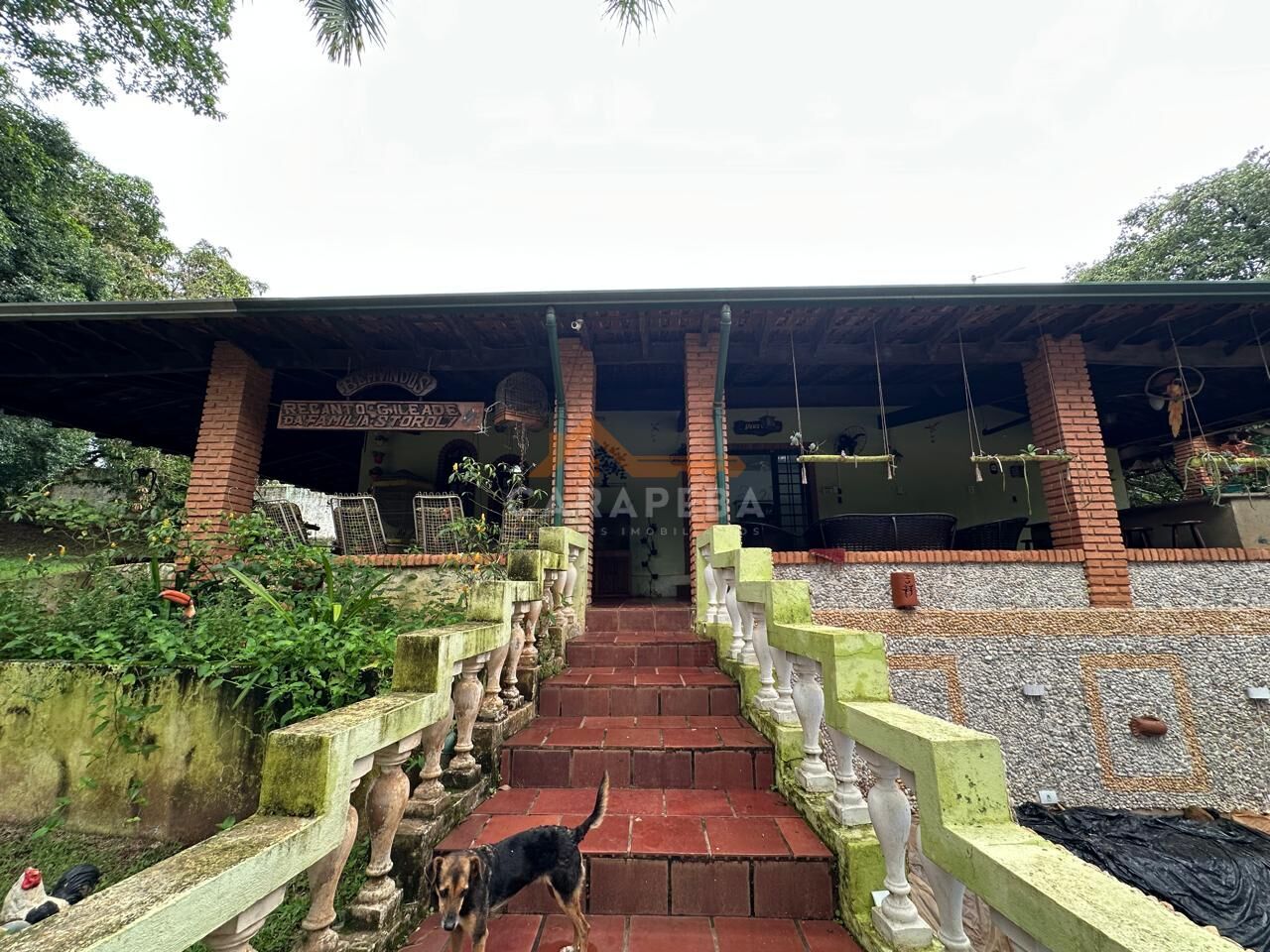 Chácara, 3 quartos, 1 hectares - Foto 2