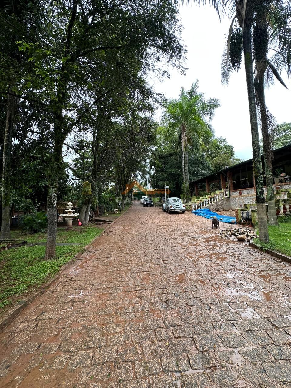 Chácara, 3 quartos, 1 hectares - Foto 7