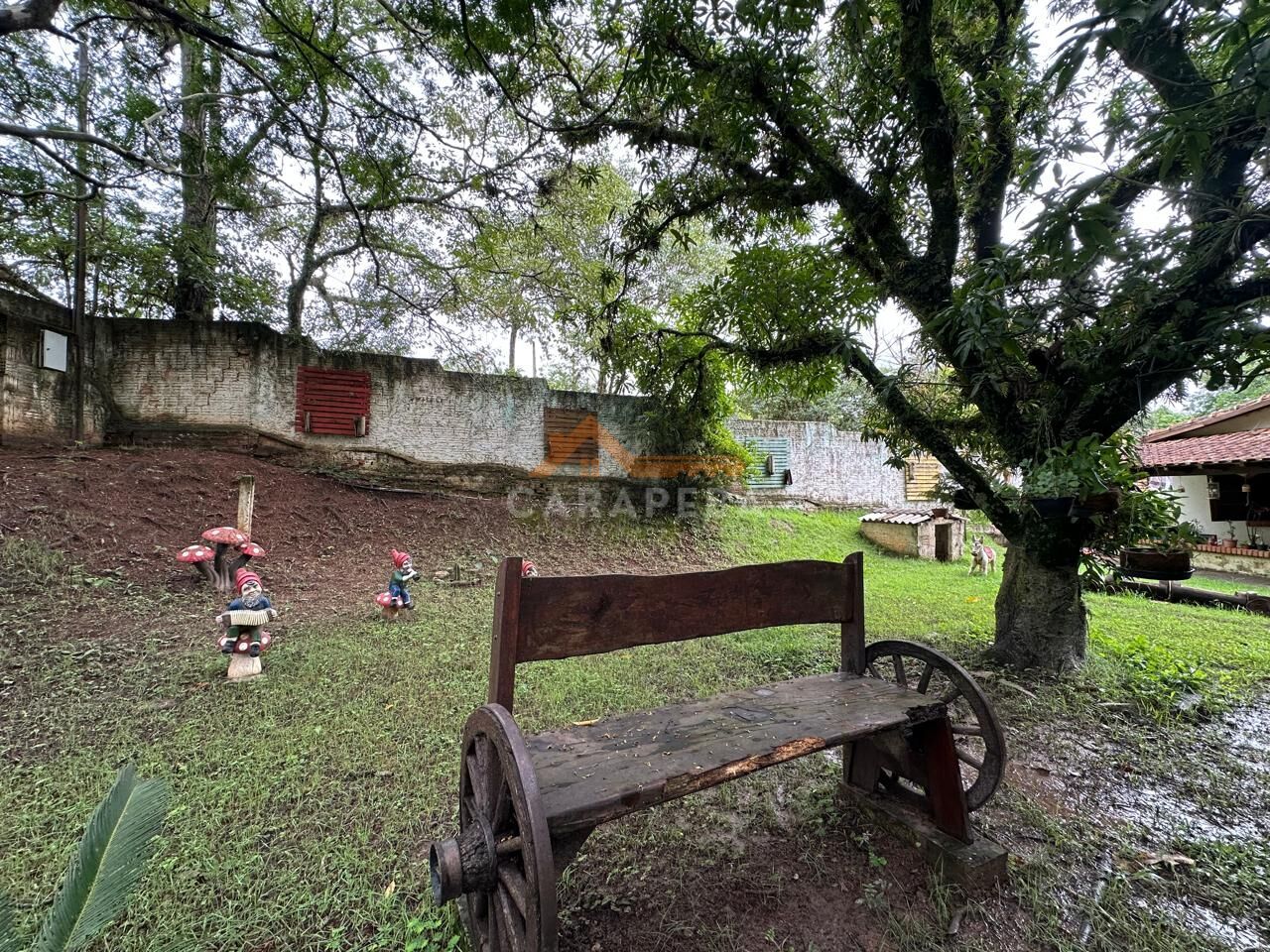 Chácara, 3 quartos, 1 hectares - Foto 4
