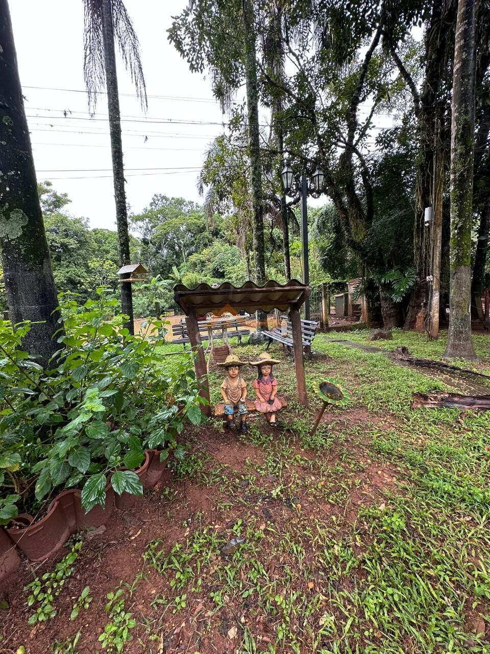 Chácara, 3 quartos, 1 hectares - Foto 15